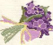 African Violets Card