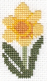 Daffodil Flower Card