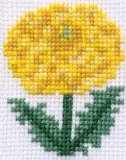 Marigold Flower Card