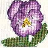 Pansy #3 Card