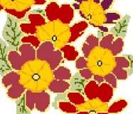 Polyanthus - Red and Yellow
