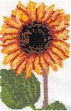 Sunflower 2 Flower Card