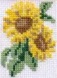 Sunflower Flower Card