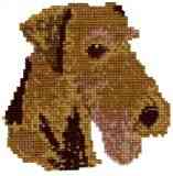 Airedale