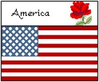 American Flag and Flower