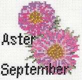 September Aster Birthday Card