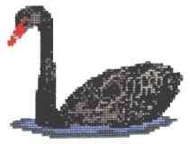 Black Swan