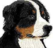 Bernese Mountain Dog Head