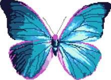 Blue Butterfly