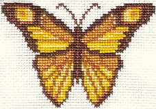 Butterfly Card 2