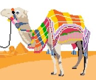 Camel