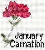 January Carnation Card