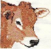 Cow Card