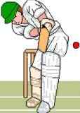 Cricketer