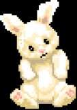 Cute Bunny Card