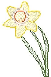 Daffodil - Click for Larger View