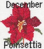December Poinsettia Birthday Card