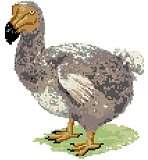 Dodo