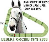 Desert Orchid