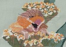 Laughing Dormouse