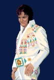 Elvis In Concert Again