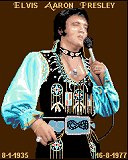 Elvis in Concert