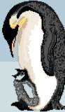 Emperor Penguin and Chick