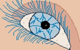 Eye