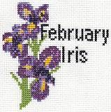February Iris Card