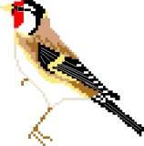 Goldfinch