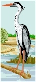 Heron