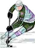 Ice Hockey Player