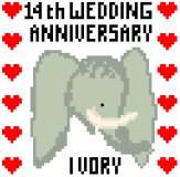 14th Wedding Anniversary (Ivory)