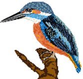 Kingfisher