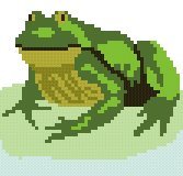 Just for Kids, Frog