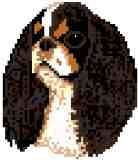 King Charles Spaniel (3 colour)