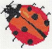 Ladybird Card