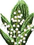 Lilly of the Valley