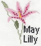 May Lilly Birthday Card