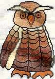 Brown Owl