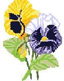 Pansies