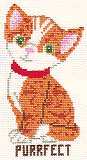 Purrfect Cat