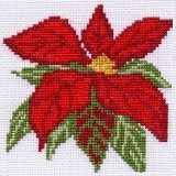 Poinsettia Christmas Card