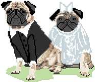 Pug Wedding