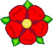 Red Rose of Lancashire