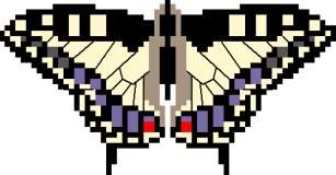 Swallowtail Butterfly