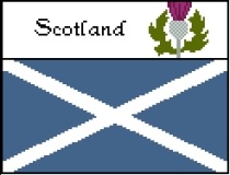 Scotland Flag and Flower