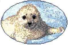 Seal