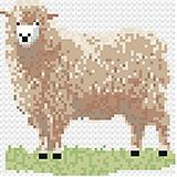 Sheep Card