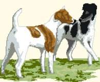 Fox Terriers (Smooth Hair)